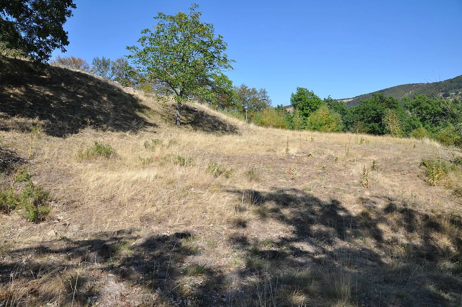 Dacian Fortress of Căpâlna